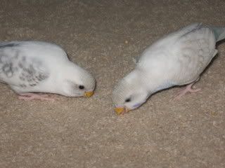 IMG_5505.jpg