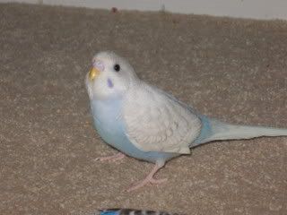 IMG_5510.jpg
