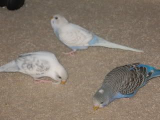 IMG_5516.jpg
