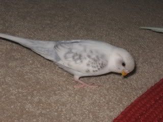 IMG_5535.jpg