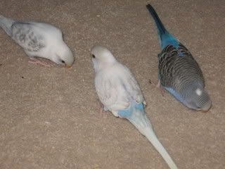 IMG_5548.jpg