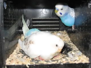 IMG_5630.jpg