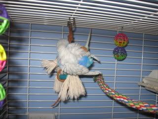 IMG_5635.jpg