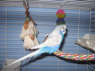 IMG_5636.jpg