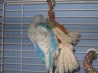 IMG_5637.jpg