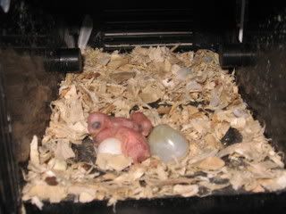 IMG_5656.jpg