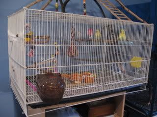 IMG_6312.jpg