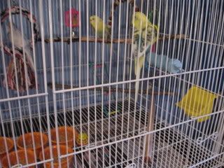 IMG_6317.jpg