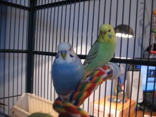 IMG_0929.jpg