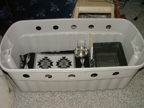Best Cat Carrier For Car Travel Uk Best Cat Carrier For Car Travel Uk
