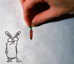 Carrot