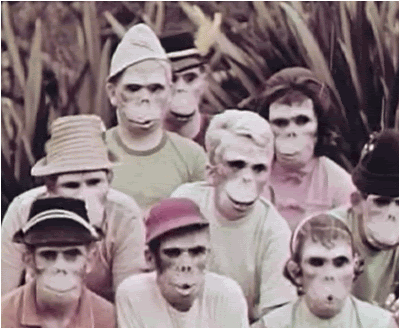 White monkeys