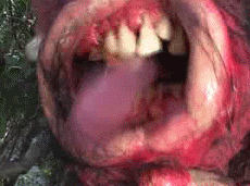 Oh, the horror! The horror!