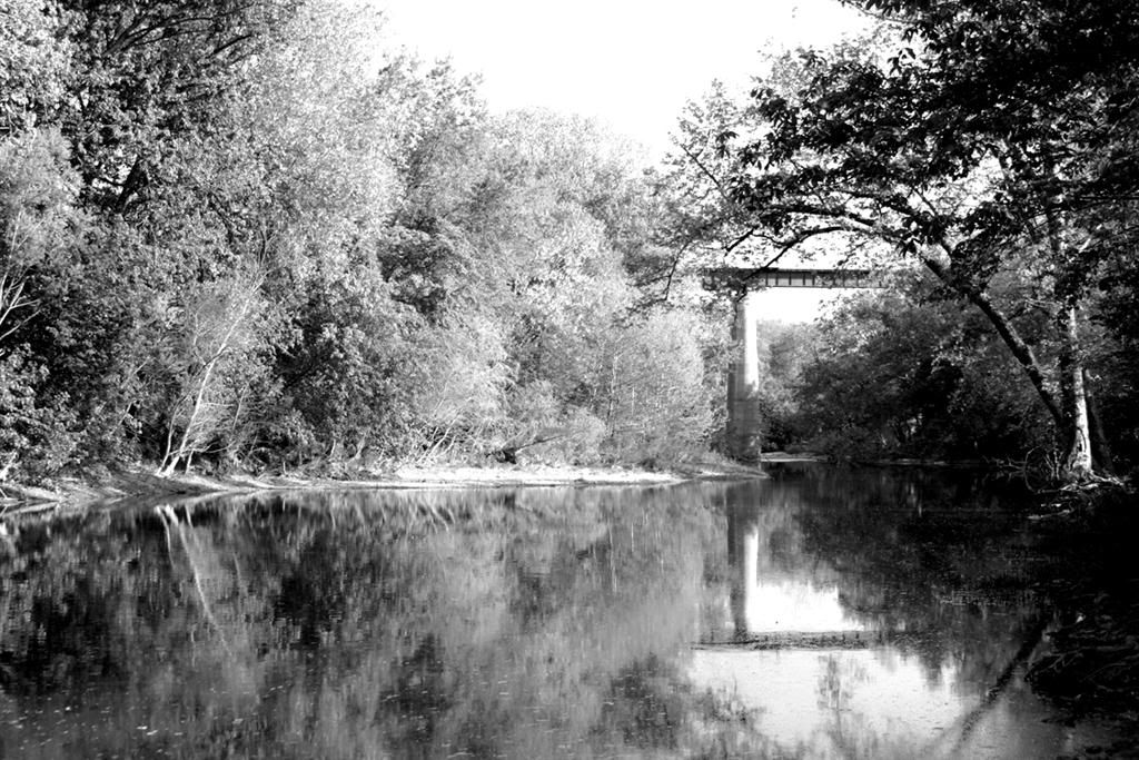 IMAGE: http://i38.photobucket.com/albums/e108/Dysturb3dp1ctur3s/5-10-06036bandwLarge.jpg