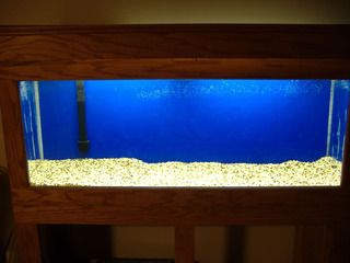 Guide to initial Setup for an Oscar Fish Tank