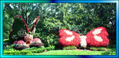Butterfly Topiary at Busch Gardens