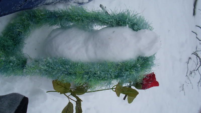 Morphodite-Photos Morphodite Photos http://media.photobucket.com/user/rachel_rox_ur_sox ...