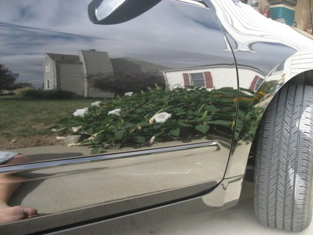 Altima032.jpg
