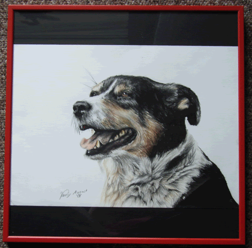 Hund-A4.gif