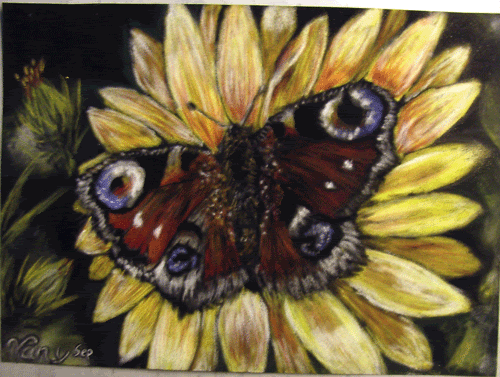Schmetterling.gif