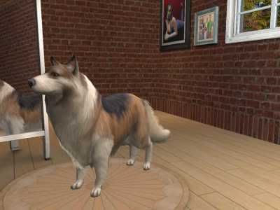 snapshot_126c9657_326c9831.jpg