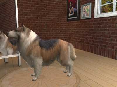 snapshot_126c9657_726c9810.jpg