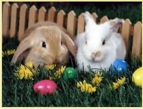 easter Pictures, Images and Photos