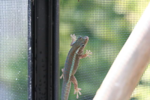 IMG_3746.jpg