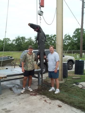GatorHunt087.jpg