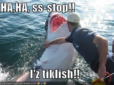 funny-pictures-ticklish-shark.jpg Ha, Ha, ss-stop!! I'z tiklish!!