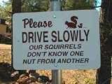 Post Your Funny Signs Here