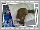How to make pictures smaller