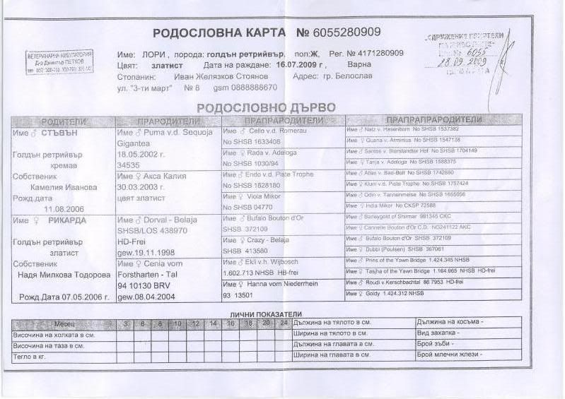 Качена снимка