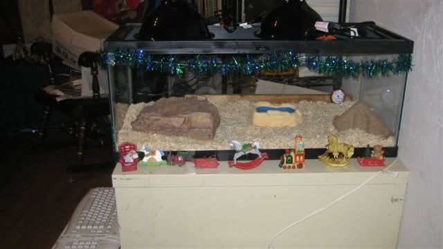 Christmaspics001.jpg