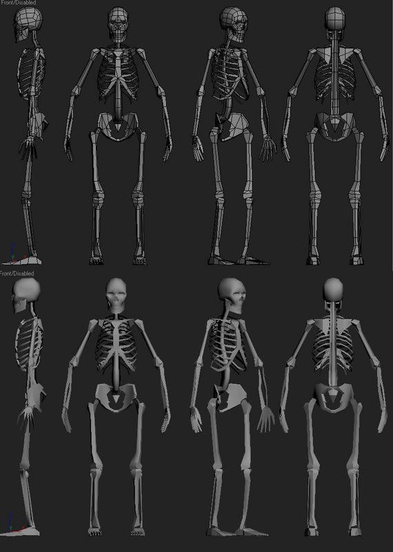 SkeletonFinished.jpg