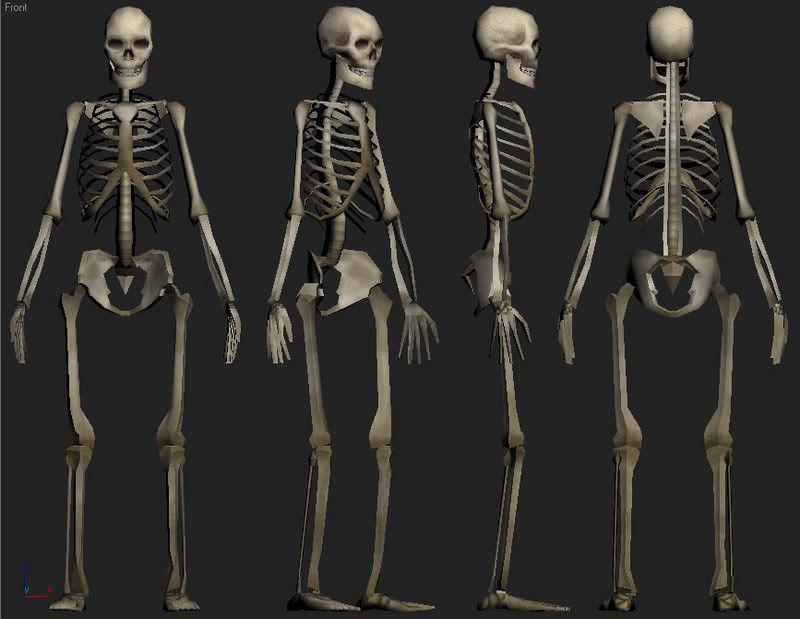SkeletonMore.jpg