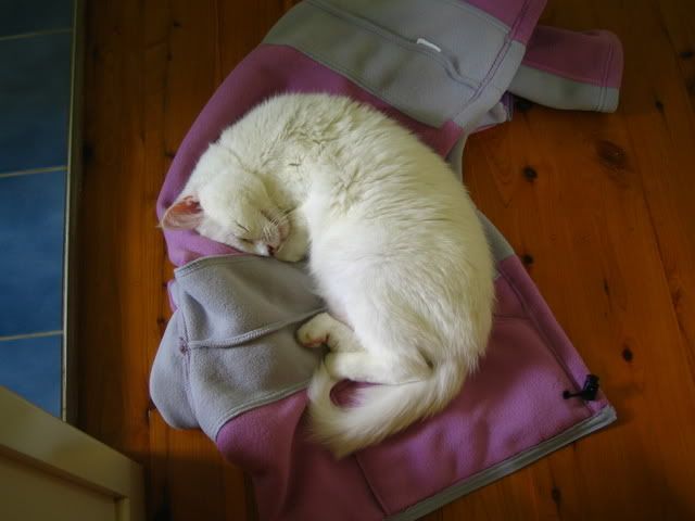 200307103.jpg