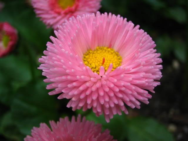 CanberraandSouthernHighlands054.jpg