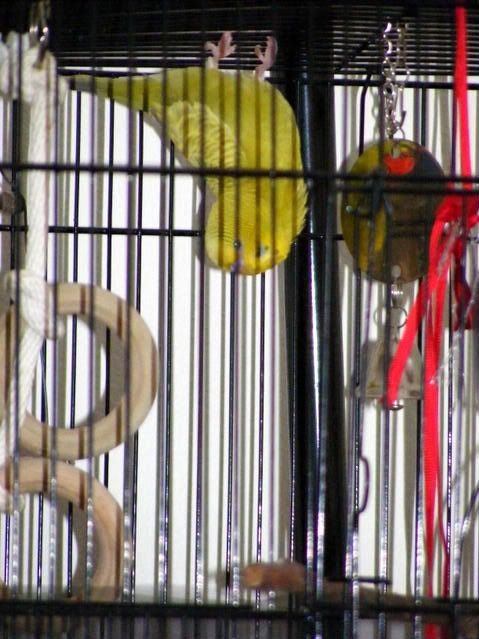 DSCF4376.jpg