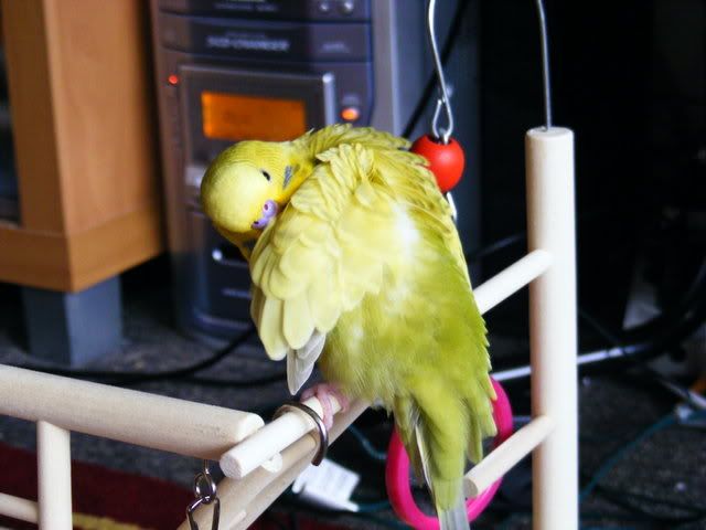 DSCF4631.jpg