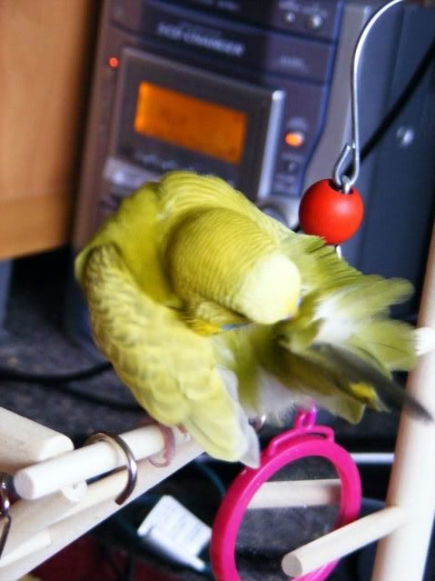 DSCF4634.jpg