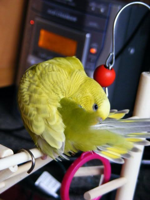 DSCF4637.jpg