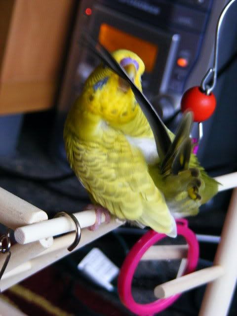 DSCF4639.jpg