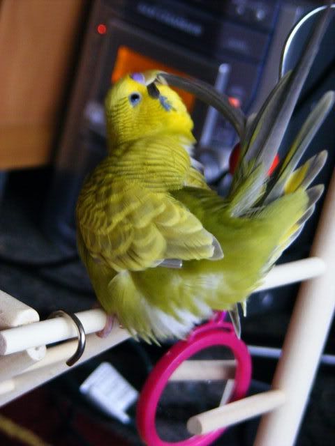 DSCF4642.jpg