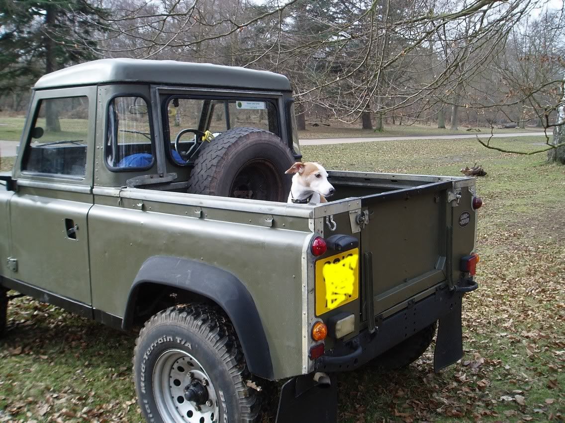 Landy21136x852.jpg