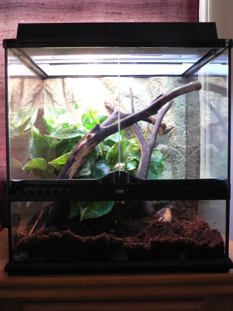 Terrarium1.jpg