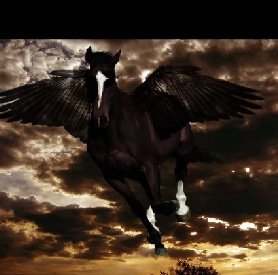 darkwingedhorse.jpg wings picture by my-lovie