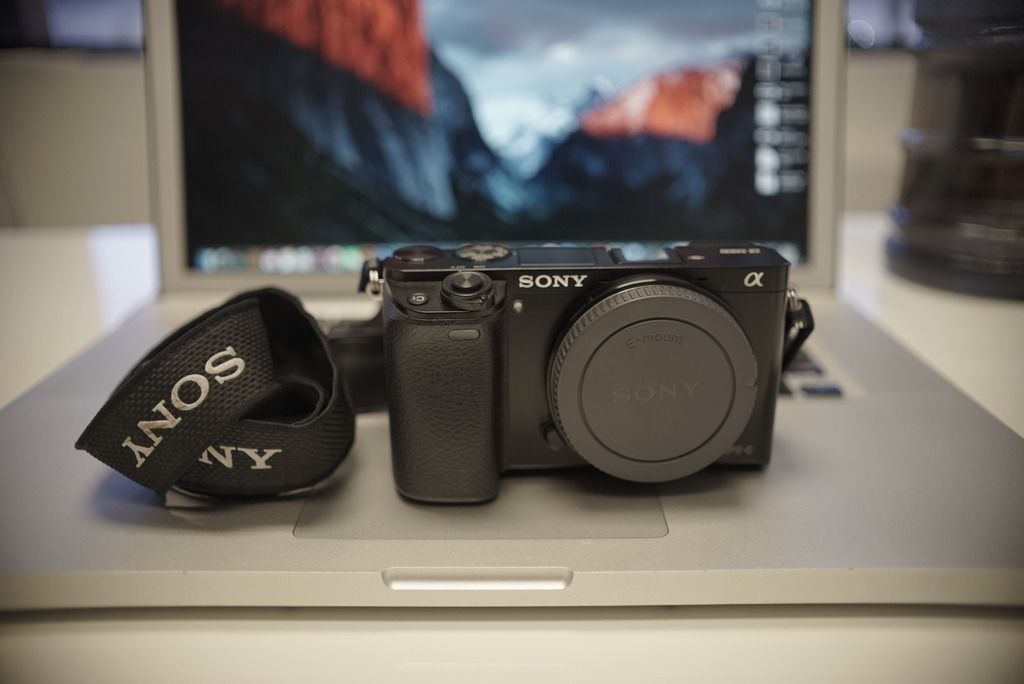 IMAGE: http://i38.photobucket.com/albums/e122/Dillydallen/IMG_0761_zpsjdcgdn2n.jpg