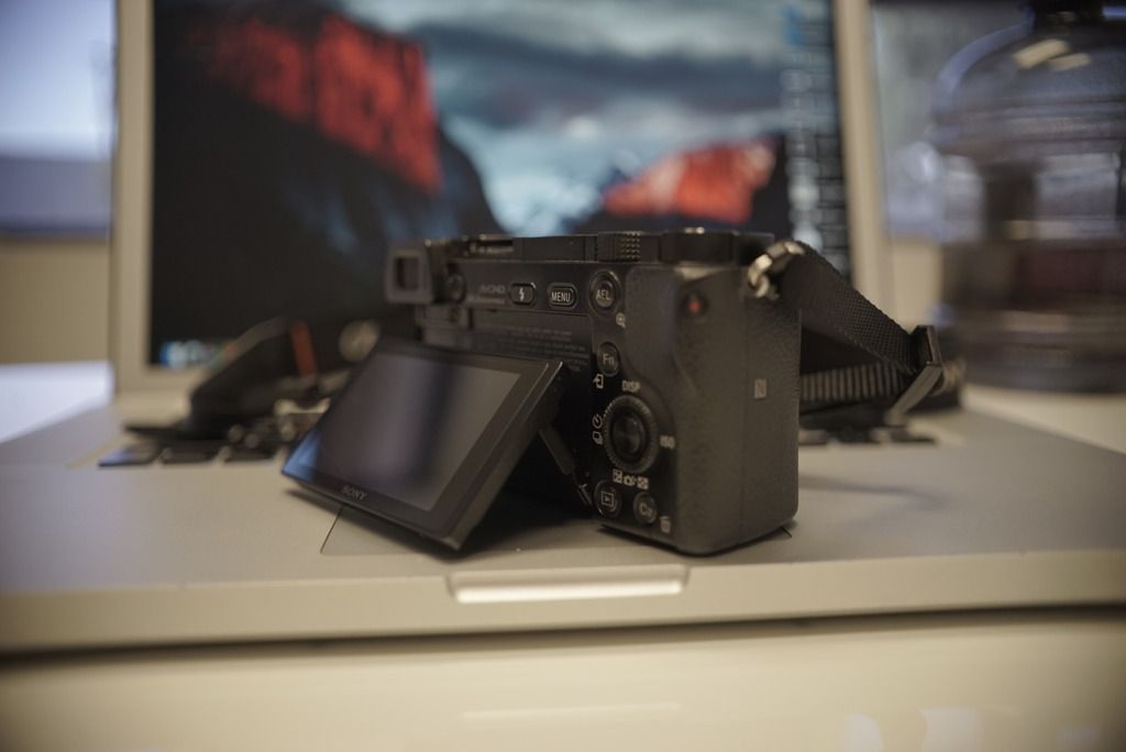 IMAGE: http://i38.photobucket.com/albums/e122/Dillydallen/IMG_0763_zpszivouzji.jpg