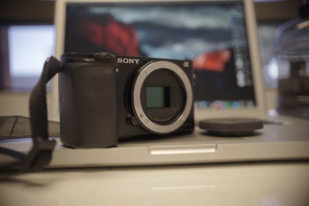 IMAGE: http://i38.photobucket.com/albums/e122/Dillydallen/IMG_0764_zpskb8xq9pu.jpg